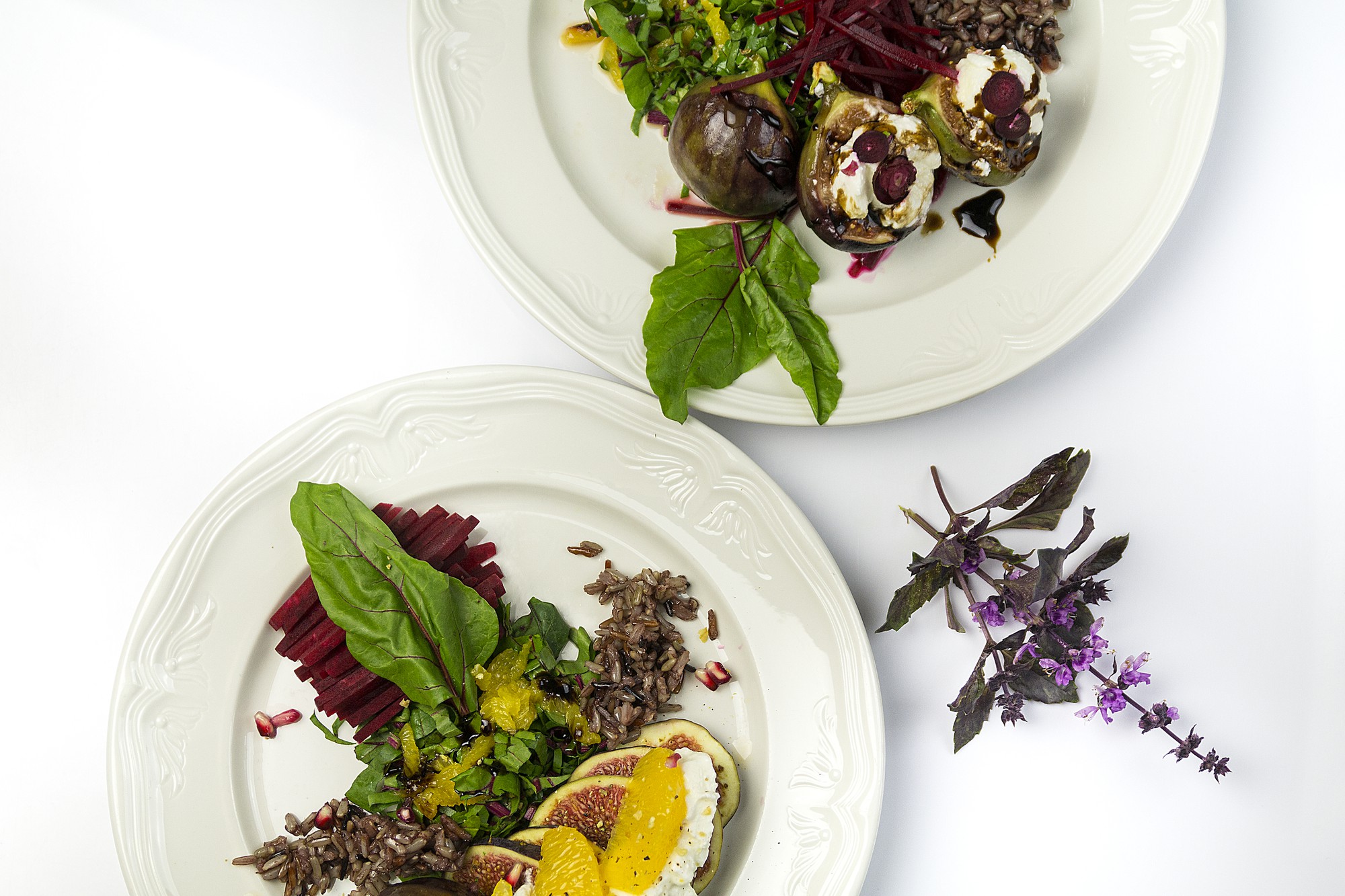 Plated seasonal entrée with herbs